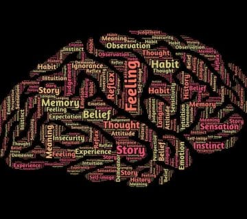 mindset, état d'esprit, mindset gagant, bon mindset, coach-coaching-de-vie-développement-personnel-life-coach