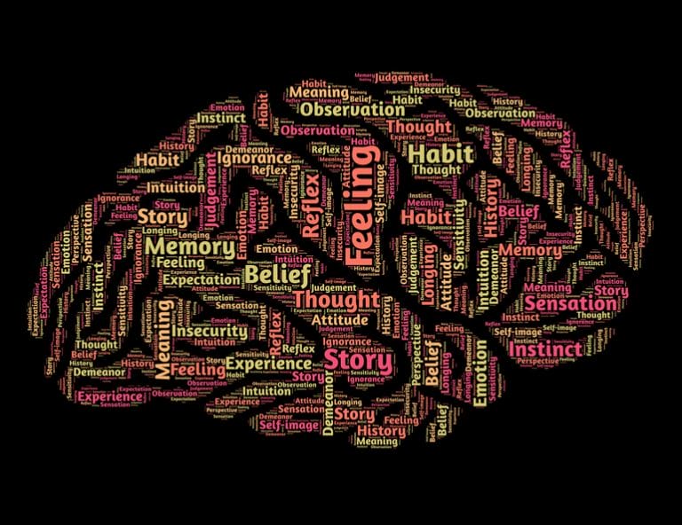 mindset, état d'esprit, mindset gagant, bon mindset, coach-coaching-de-vie-développement-personnel-life-coach