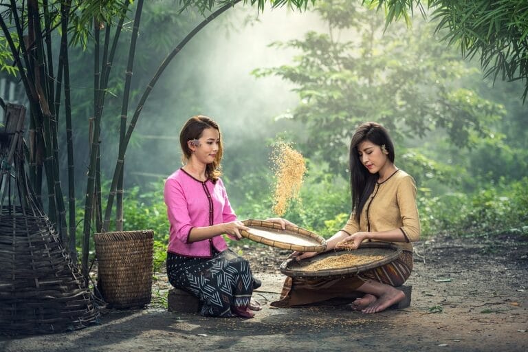 rice, women, sitting-1807547.jpg