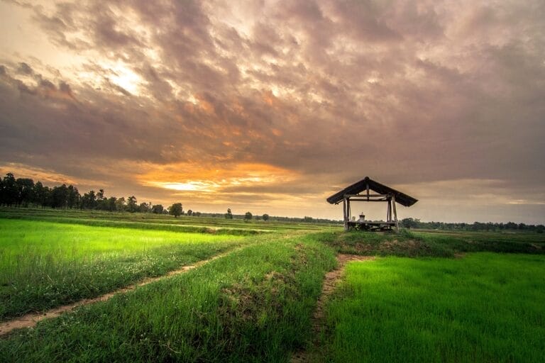 home outside, thai, field-2400964.jpg